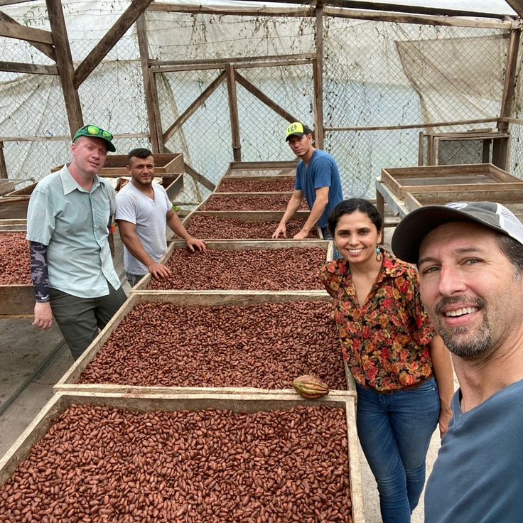 Fermentation Quality Inspection
